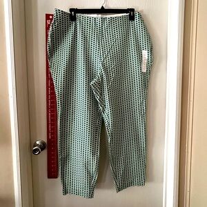 NWT Skinny Ankle pants 17R A New Day